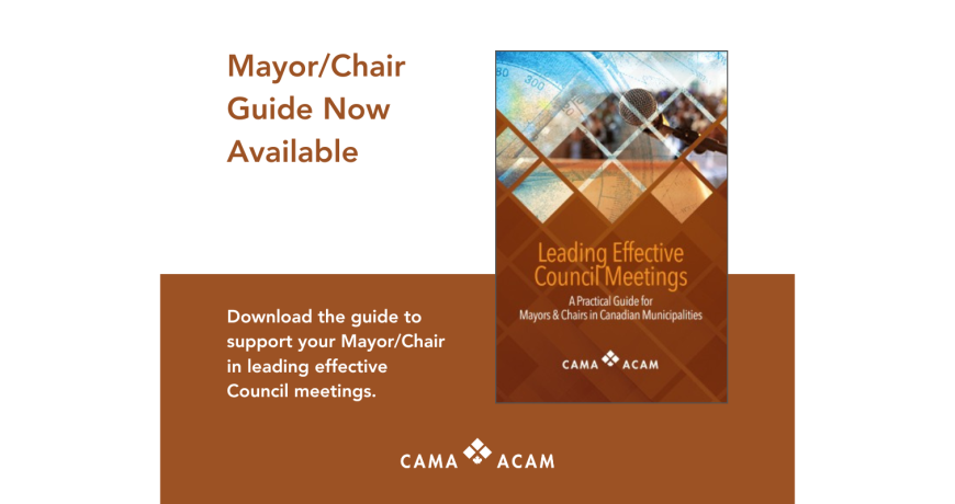 Mayor/Chair Guide